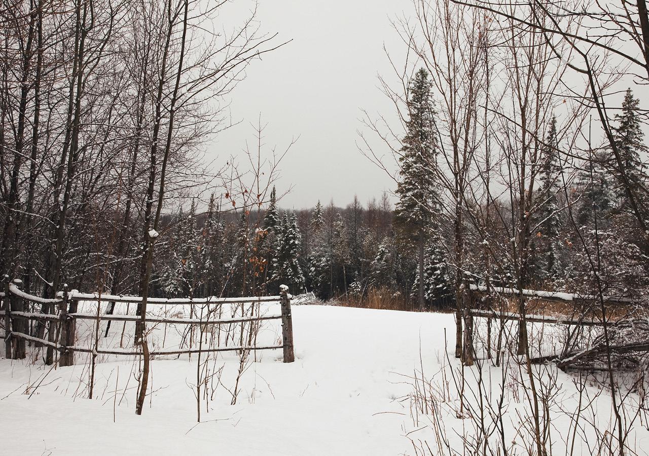 Viamede Resort Woodview Bagian luar foto